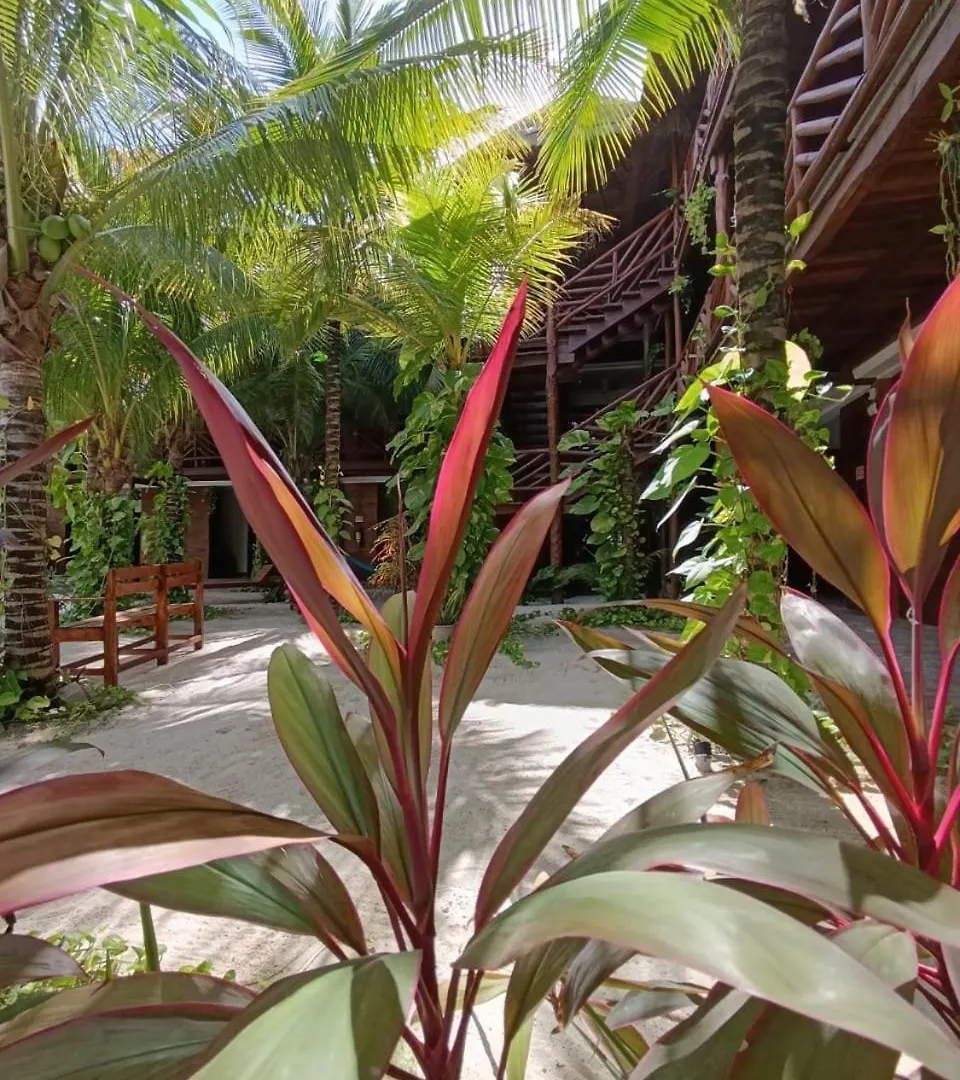 Apartment Secret Paradise Mahahual
